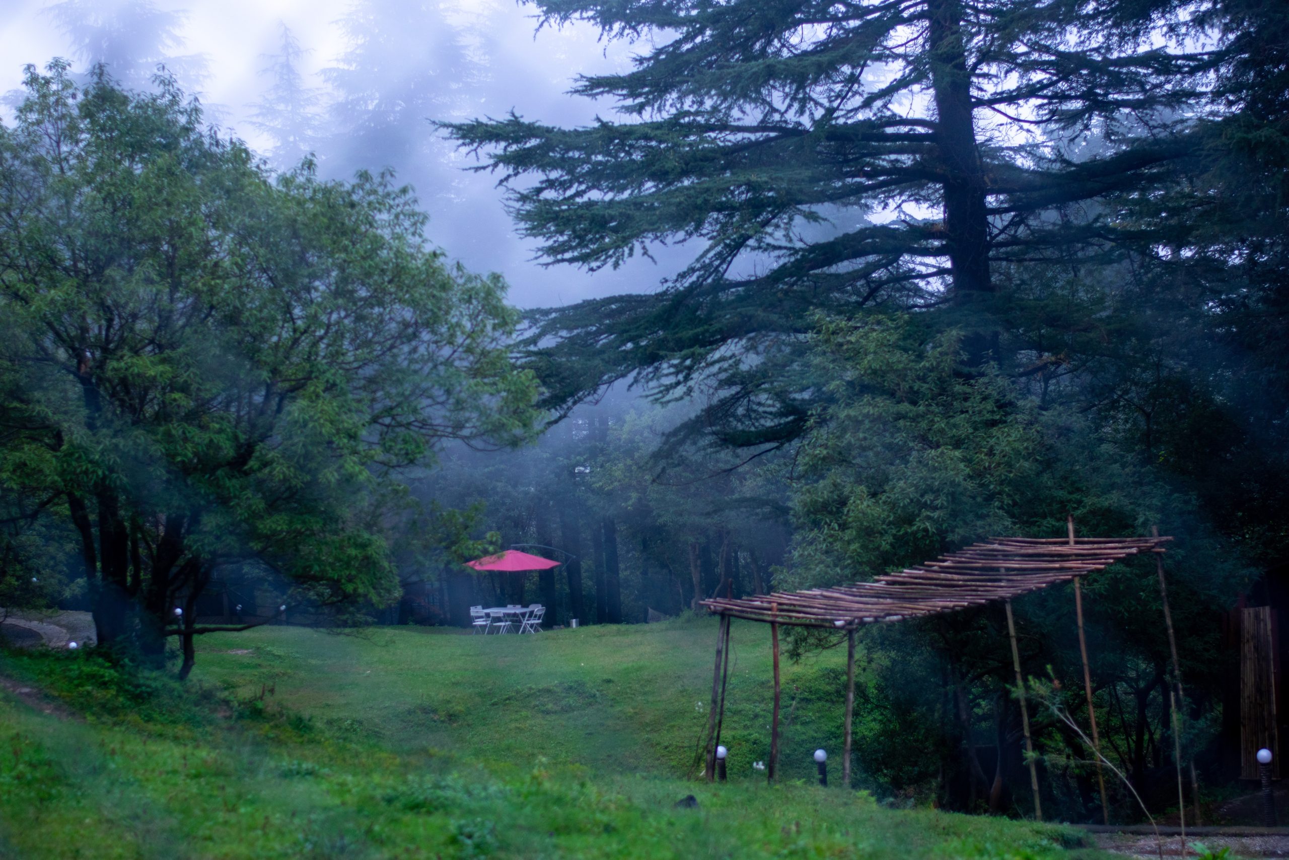 Binsar