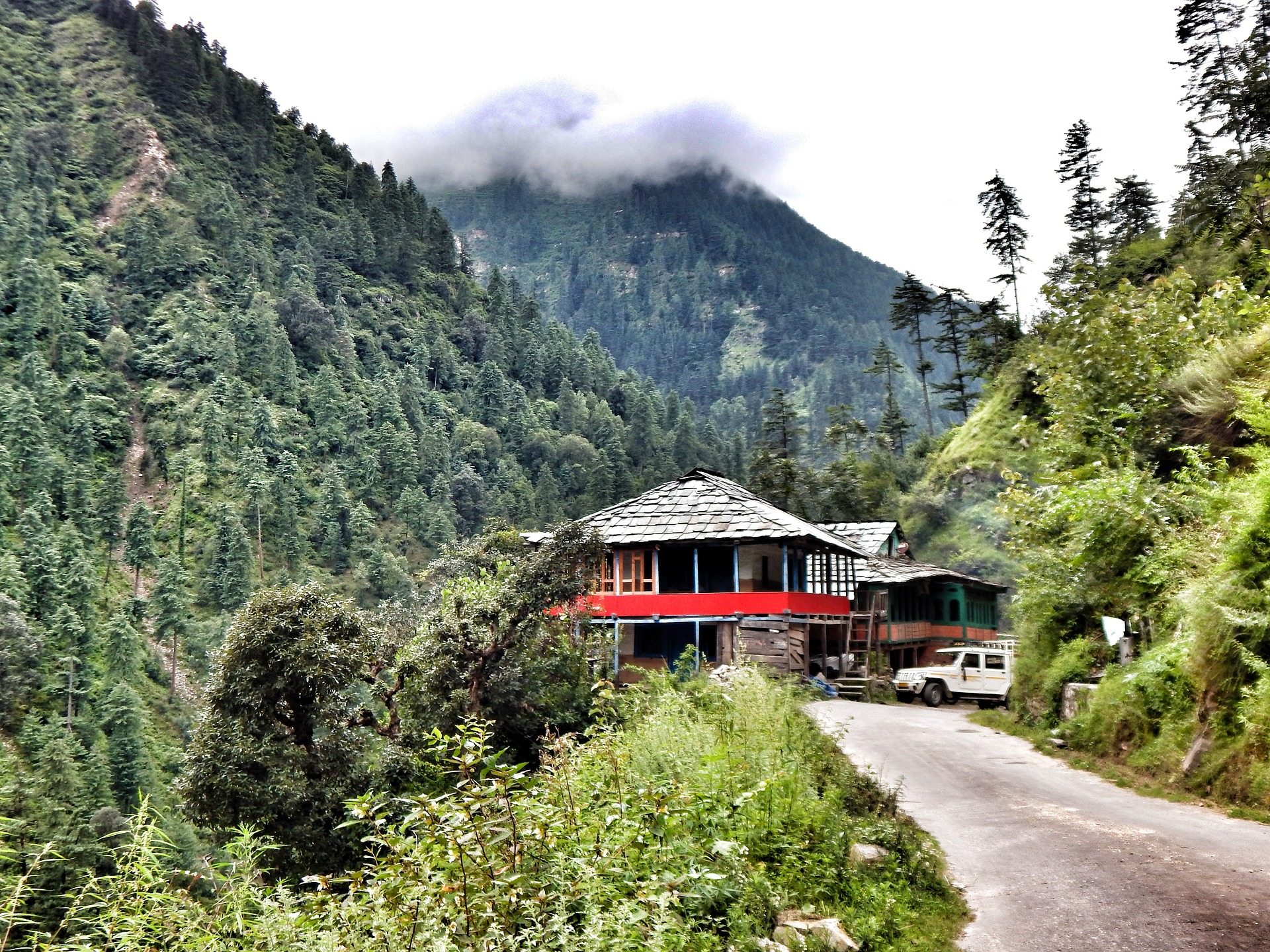 Binsar