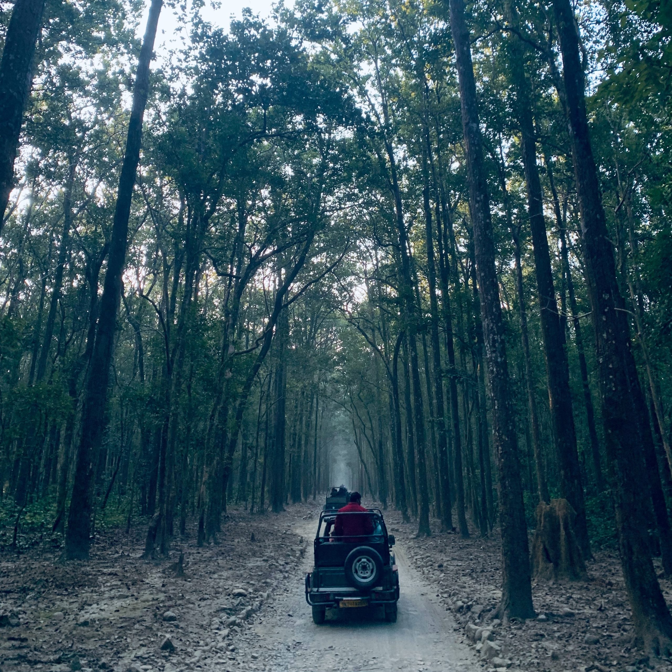 Corbett.3