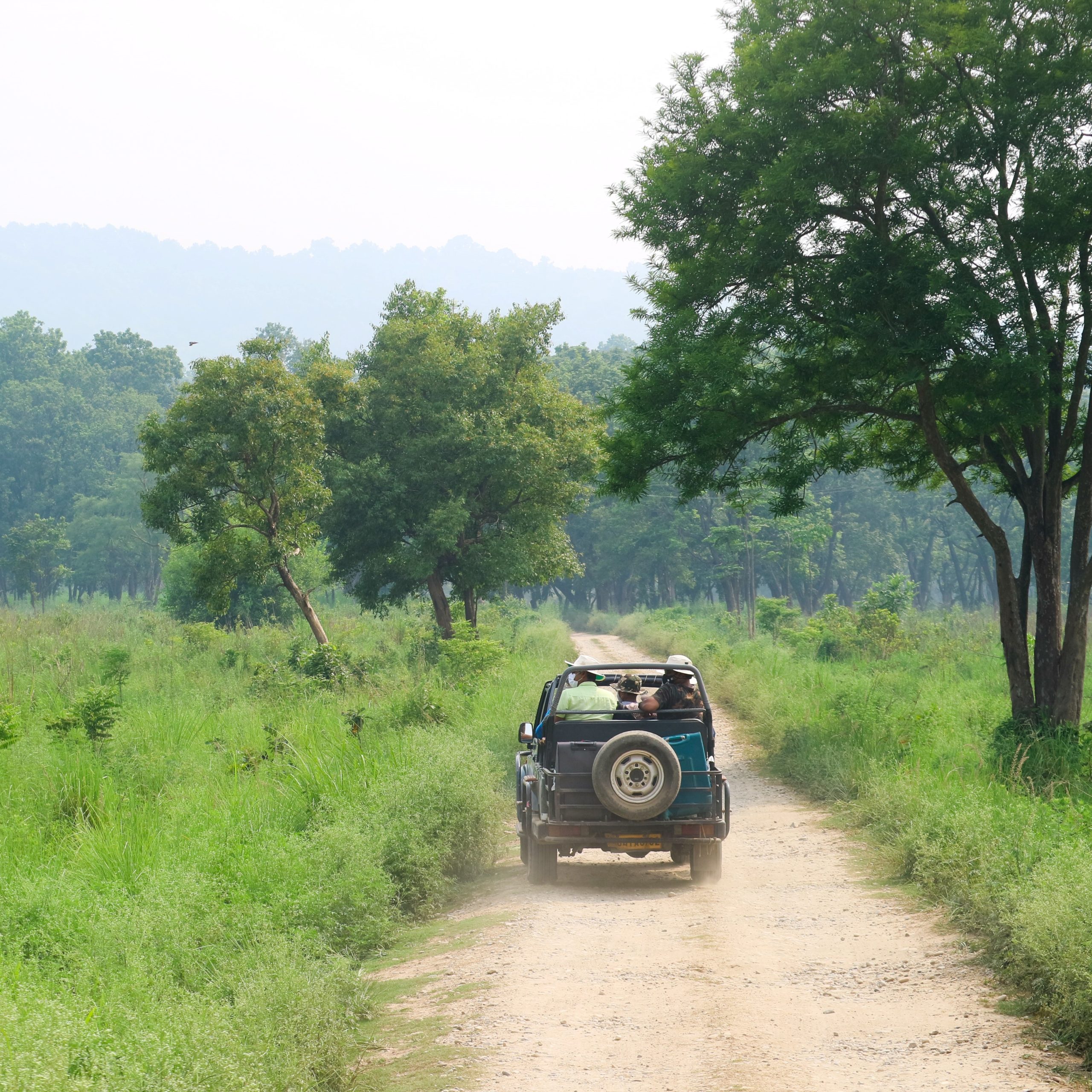 dhruvin-pandya-guC2DSGBUIw-unsplash