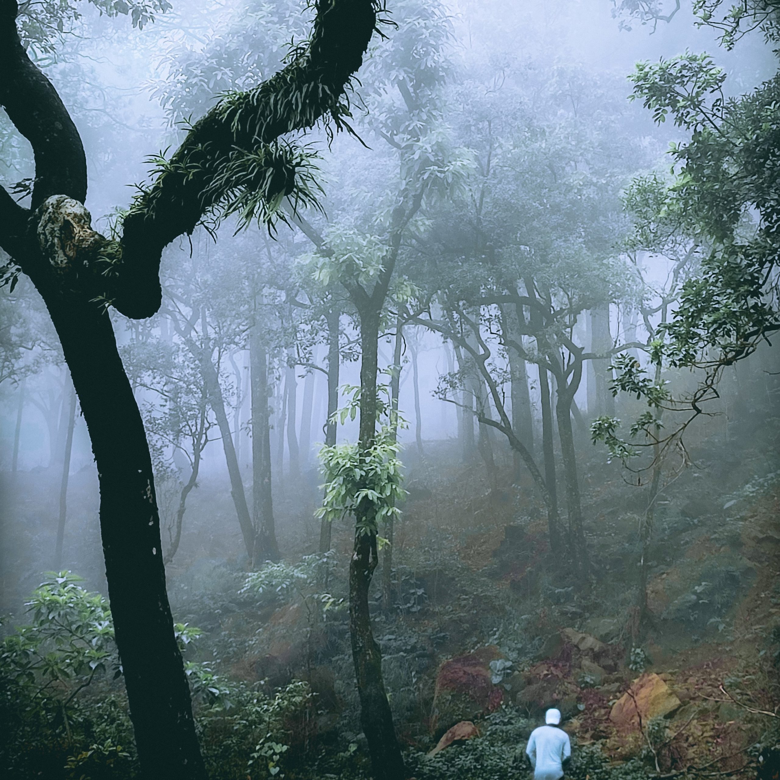 gurpreet-singh-9khFfqPB_qc-unsplash