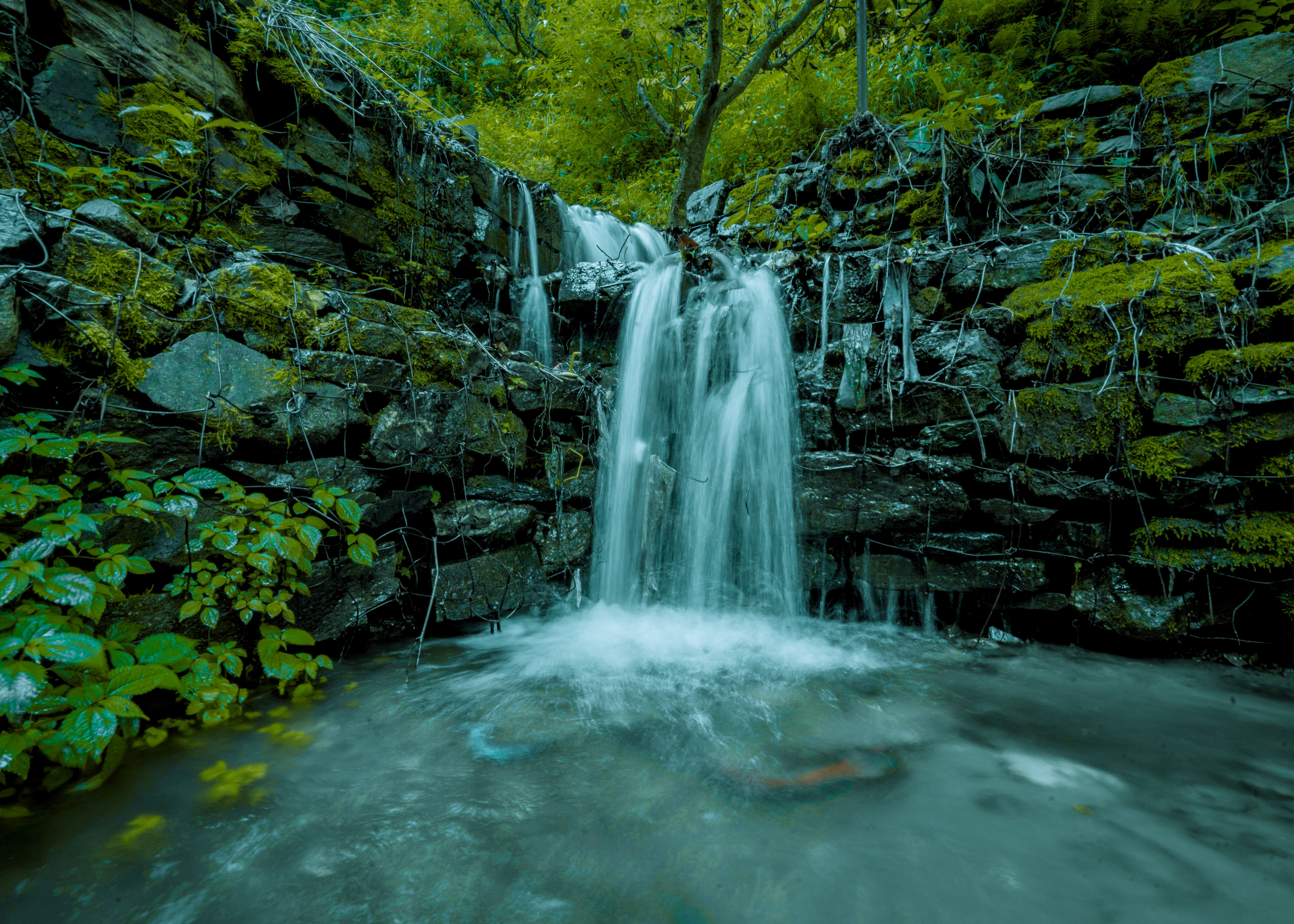 kamal-singh-rawat-eQ8mwXuL27s-unsplash